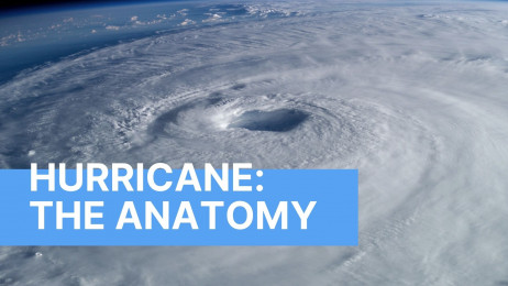 Hurricane: The Anatomy
