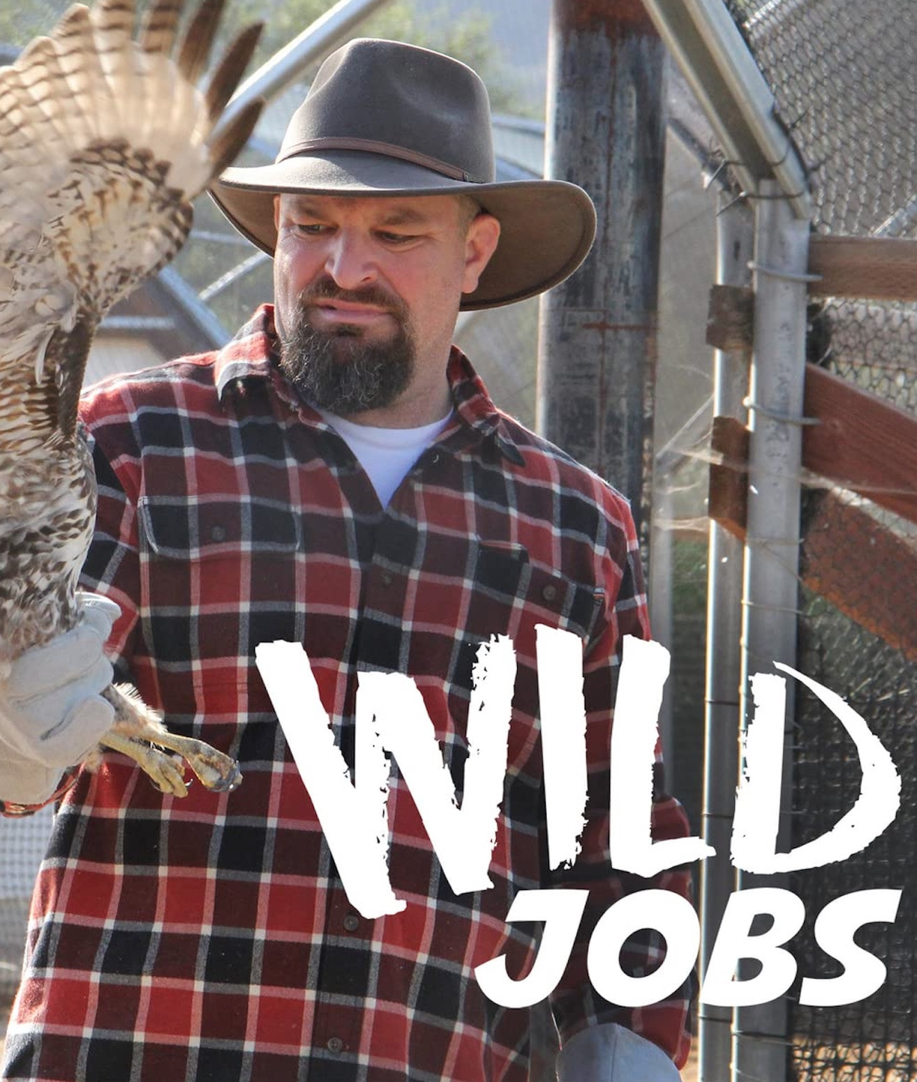 Wild Jobs