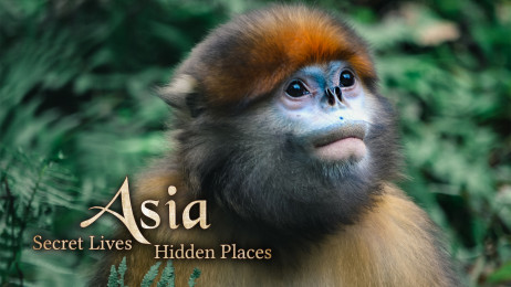 Asia - Secret Lives, Hidden Places