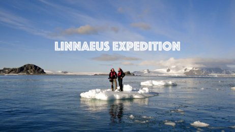 The Linnaeus Expedition