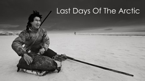 Last Days Of The Arctic