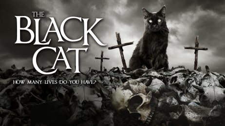 The Black Cat (MVD)
