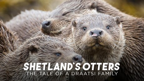 Shetland\'s Otteres: The Tale of a Draatsi Family