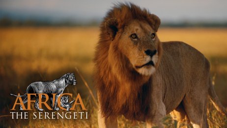 Africa: The Serengeti