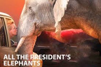 All The President’s Elephants