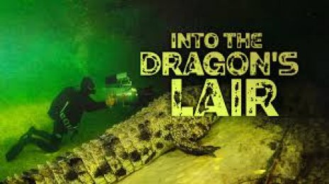 Into The Dragon’s Lair