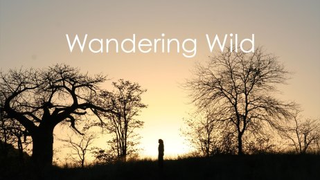 Wandering Wild