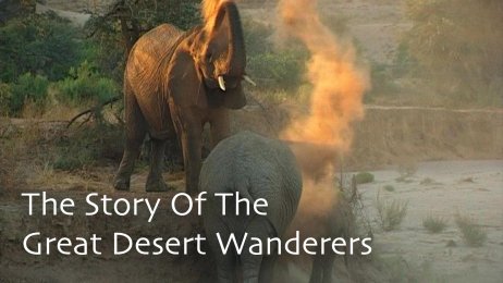 The Story Of The Great Desert Wanderers