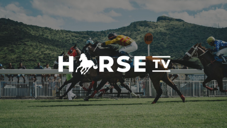 Horse TV