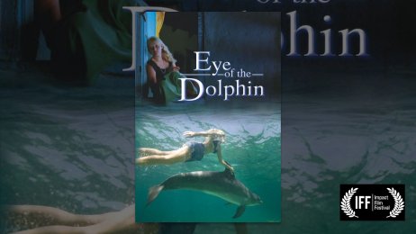 Eye of the Dolphin